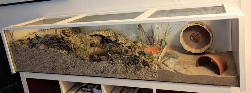 Vitrína Ikea Detolf pro křečka