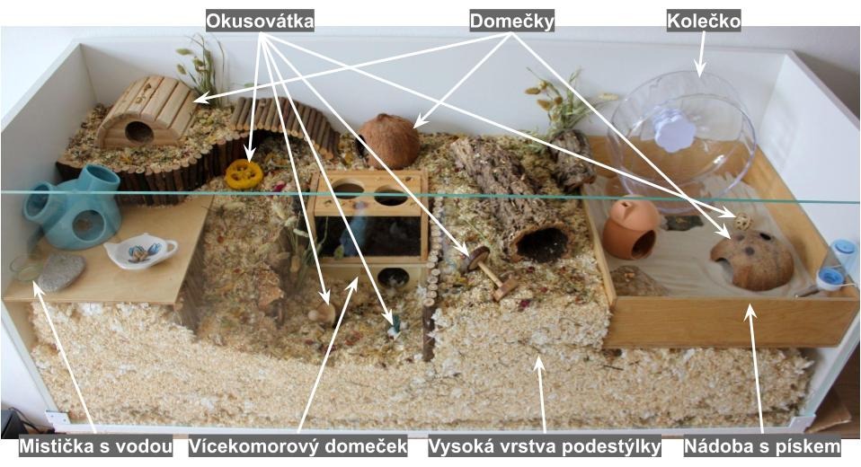 Přehled základního křeččího vybavení