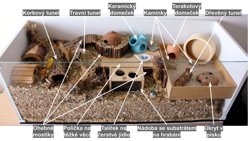 Přehled doplňkového křeččího vybavení